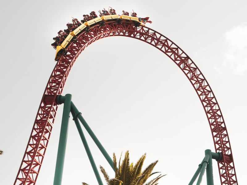 Cyber Insurance Thrill Ride